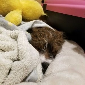 Meet your Posher, Javier